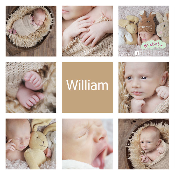 William-blog
